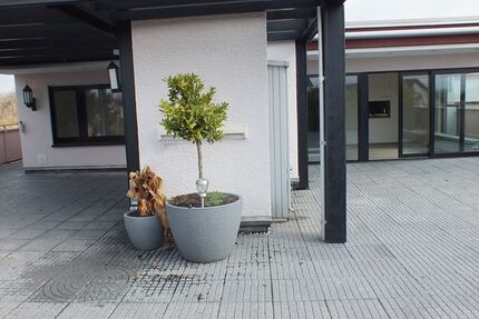 Penthouse mitten in Nauheim mit ca. 135m² Wohnfläche und 185m² Terrasse inkl. Garage 4.5 zimmer