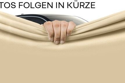 Renault Megane E-TECH 21.892 km 23.890 € Frankfurt / Main 60314