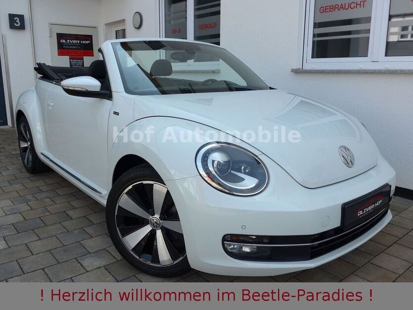 Beetle