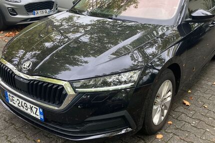 Skoda Octavia 169.000 km 13.685 € Hofheim am Taunus 65719