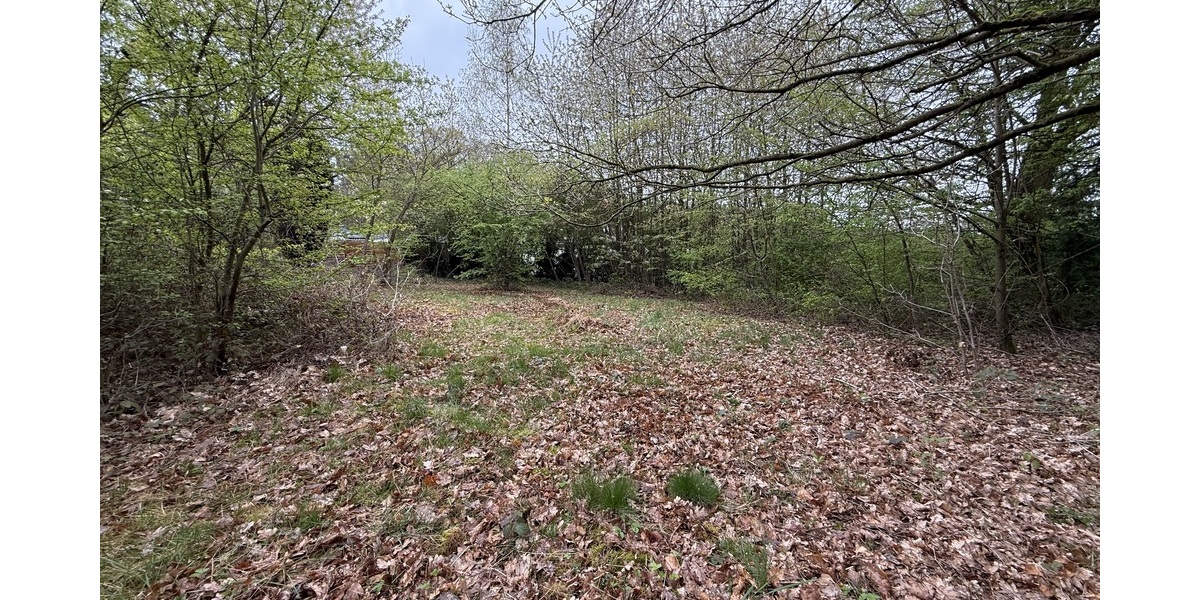 Kelkheim: Hier erfüllen Sie Ihren Traum! Idyllisches Grundstück im Wochenendgebiet - Grundstück Kelkheim | Angebot:26134206