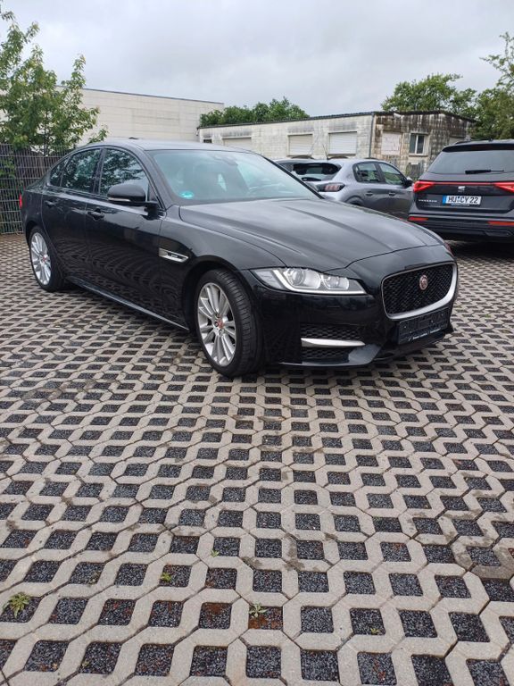 XF