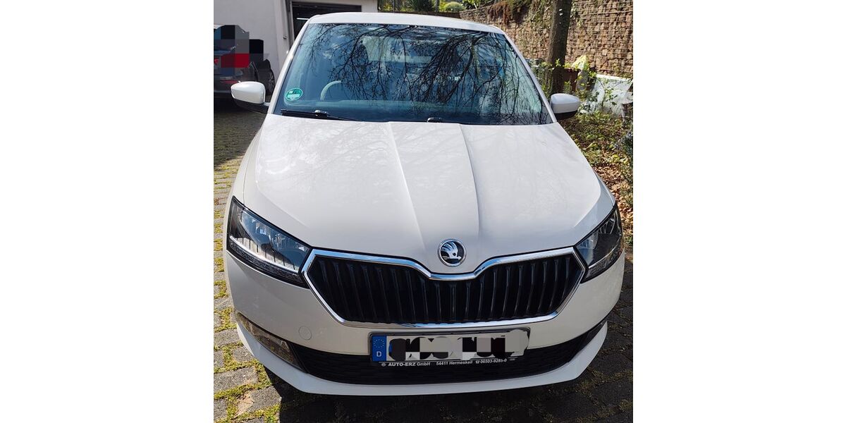 Skoda Fabia 69.827 km 10.490 &euro; Flörsheim am Main 65439