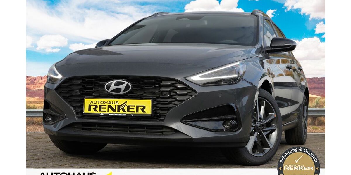 Hyundai i30 1.200 km 26.990 &euro; Darmstadt 64291