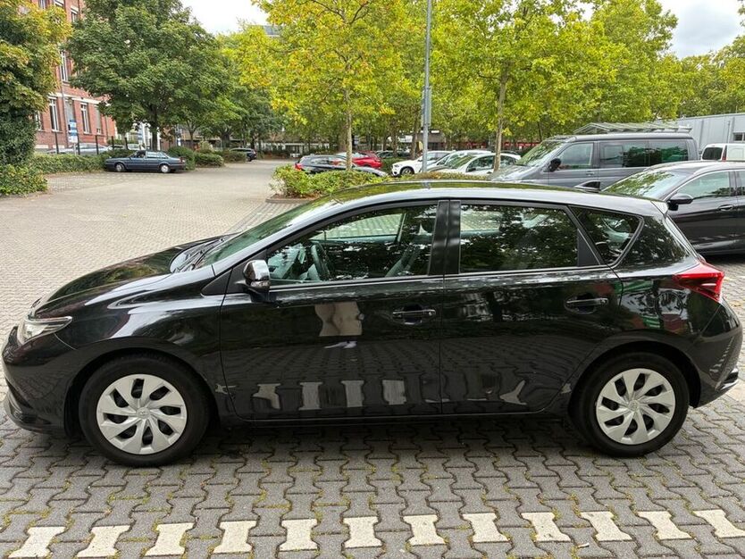 Auris