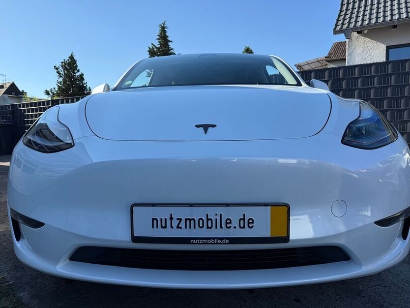 Model Y