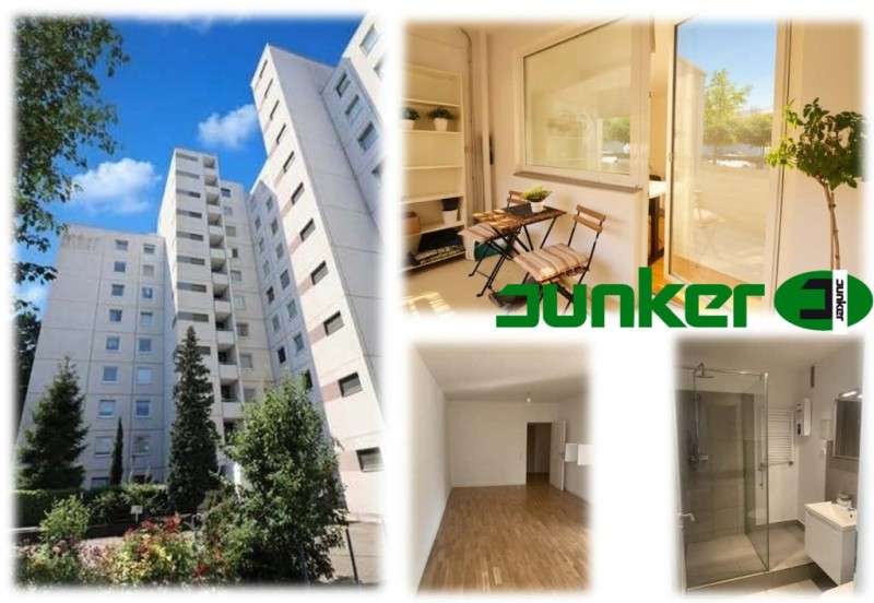 Etagenwohnung Frankfurt am Main Sachsenhausen Süd - 1 Zimmer, 45 m&sup2;, 219.000&euro; | Angebot:27005289