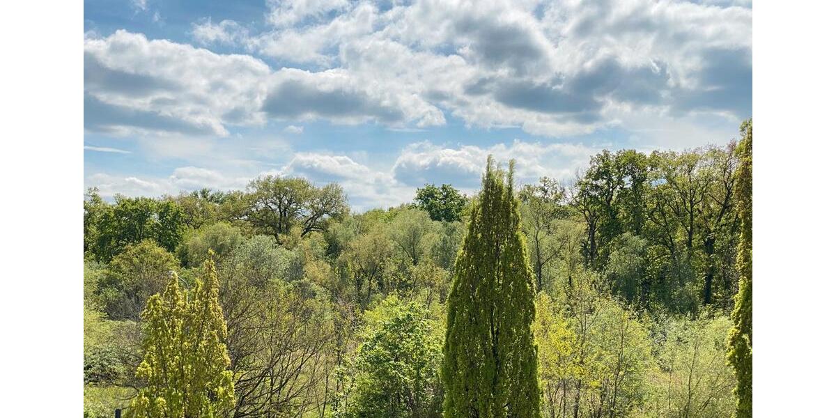 Gewerbeobjekt Mühlheim am Main - 1.570&euro; | Angebot:26359515