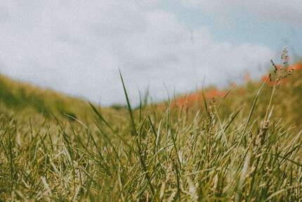 Grundstück Schaafheim - 250.000&euro; | Angebot:26301652