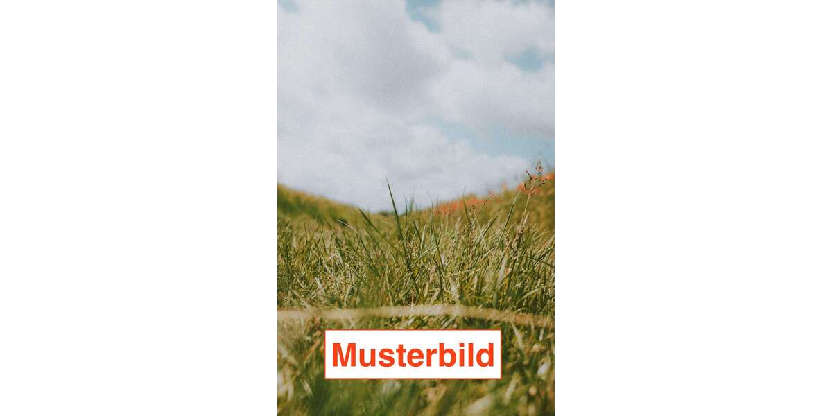 Grundstück Schaafheim - 250.000&euro; | Angebot:26301652