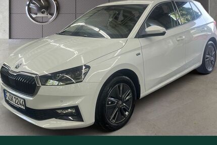 Skoda Fabia 4.500 km 21.980 € Frankfurt 60435