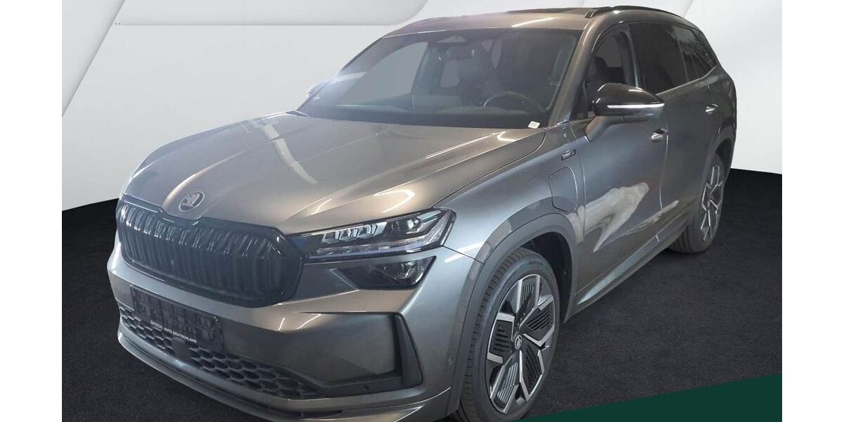 Skoda Kodiaq 21.300 km 48.849 &euro; Mühlheim 63165