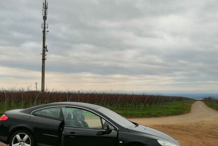 Peugeot 407 217.000 km 4.200 &euro; Frankfurt 69385