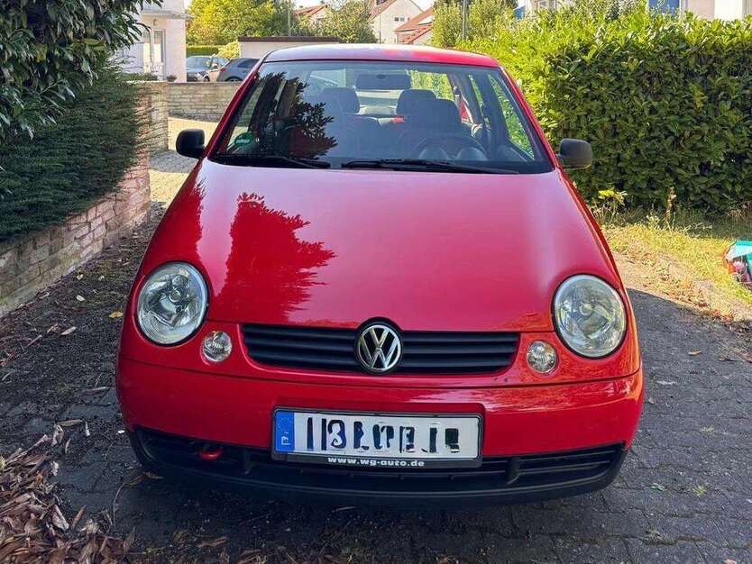 Lupo