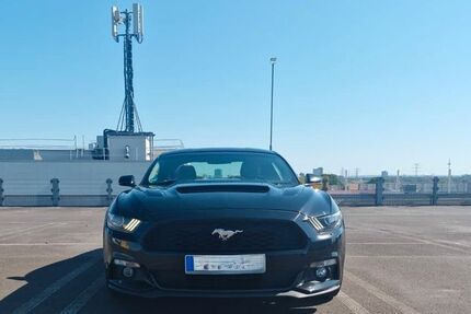 Ford Mustang 77.500 km 19.990 &euro; Frankfurt am Main 65931