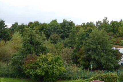 Attraktive Maisonette-Wohnung in beliebter, begehrter Wohnlage! 3 zimmer