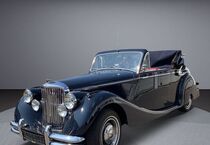 Jaguar Andere