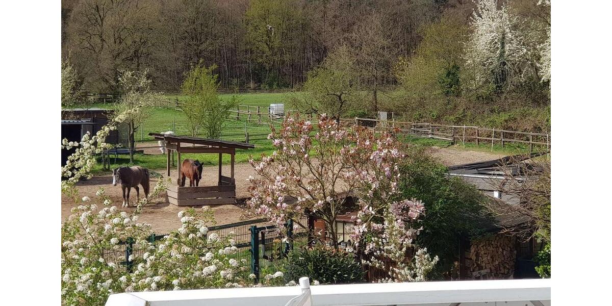 Etagenwohnung Dreieich - 4 Zimmer, 144 m&sup2;, 2.000&euro; | Angebot:26291964