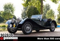 Jaguar Andere