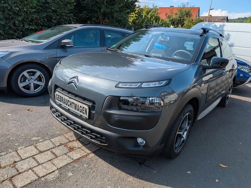 C4 Cactus