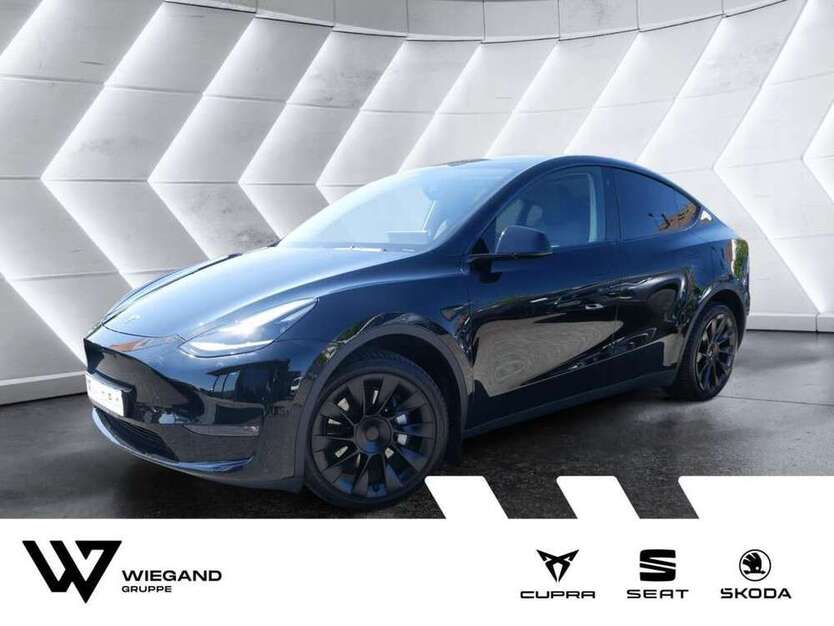 Model Y