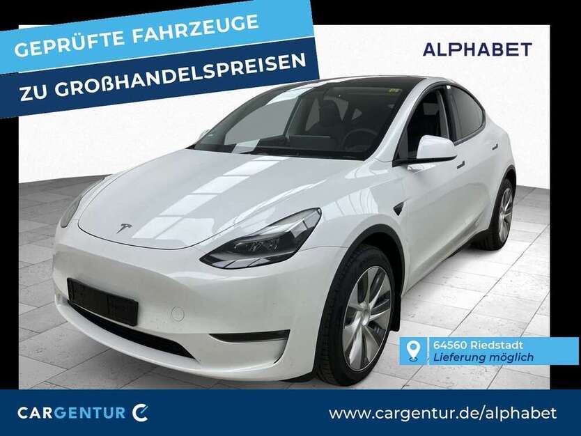 Model Y