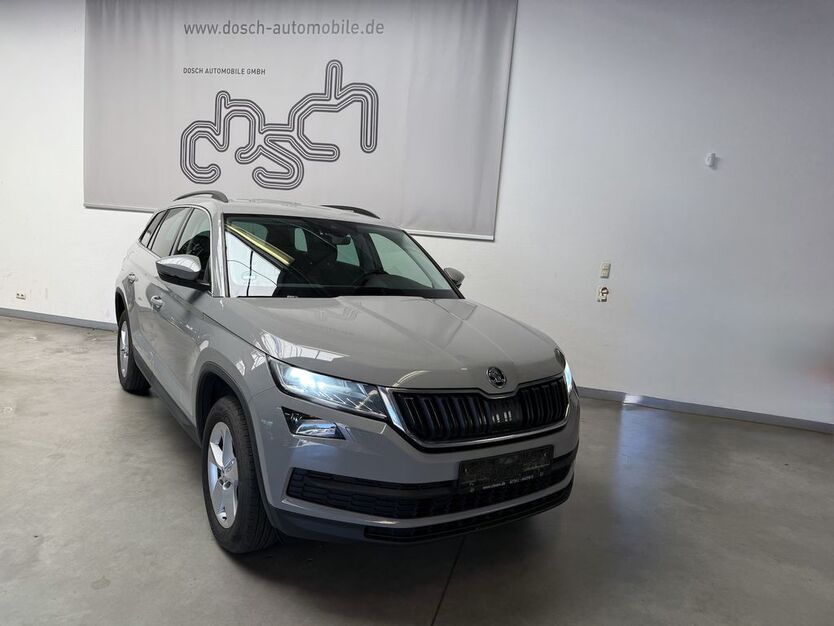 Skoda Kodiaq 218.069 km 17.990 € Maintal bei Frankfurt am Main 63477