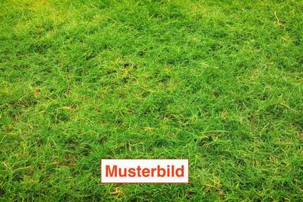 Grundstück zu verkaufen in Königstein 1.420.000 € 1219 m²
