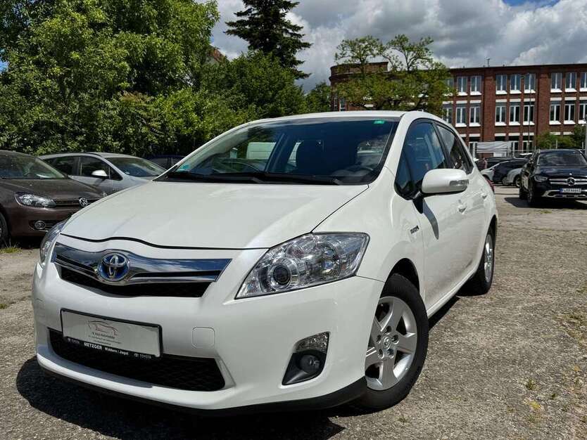 Auris
