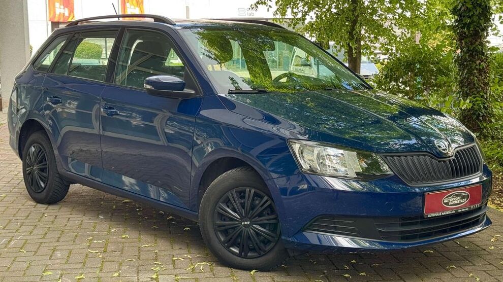 Skoda Fabia 128.000 km 8.999 € Darmstadt 64293