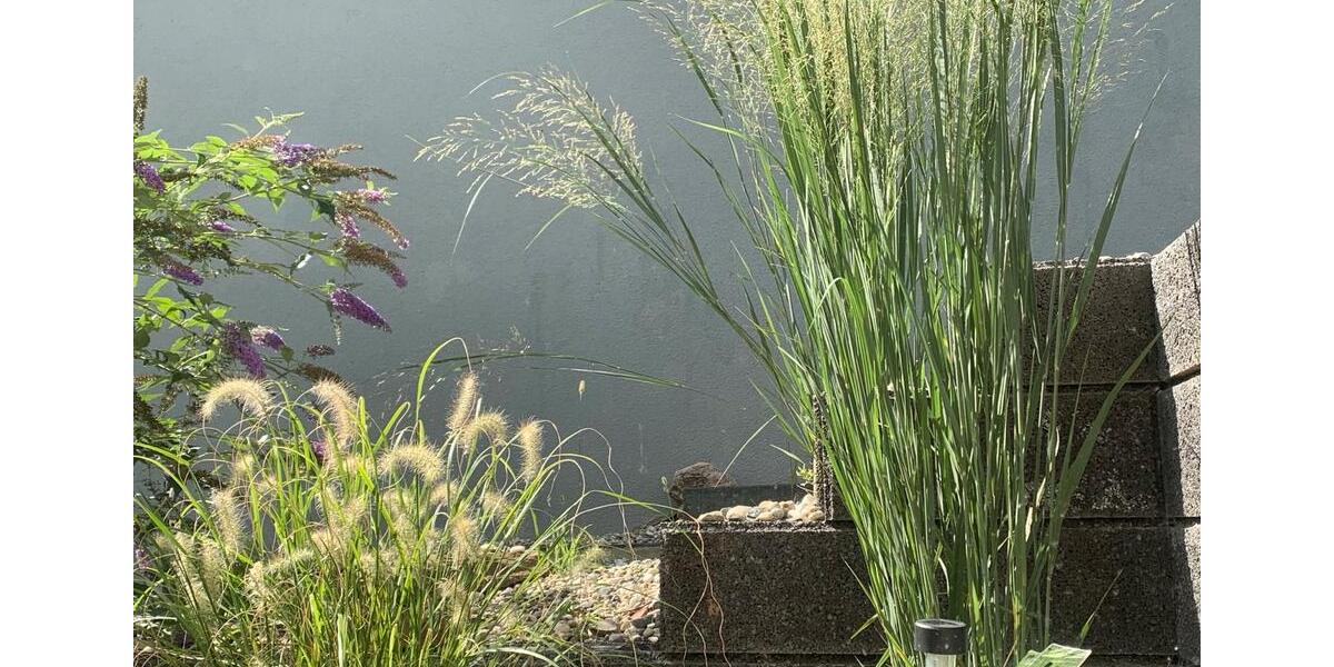 Etagenwohnung Mömbris - 1 Zimmer, 63 m&sup2;, 1.100&euro; | Angebot:26059578