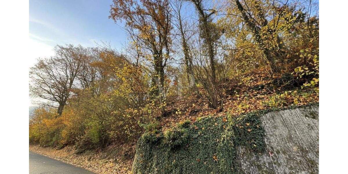 Grundstück Eppstein Vockenhausen - 286.000&euro; | Angebot:25742233
