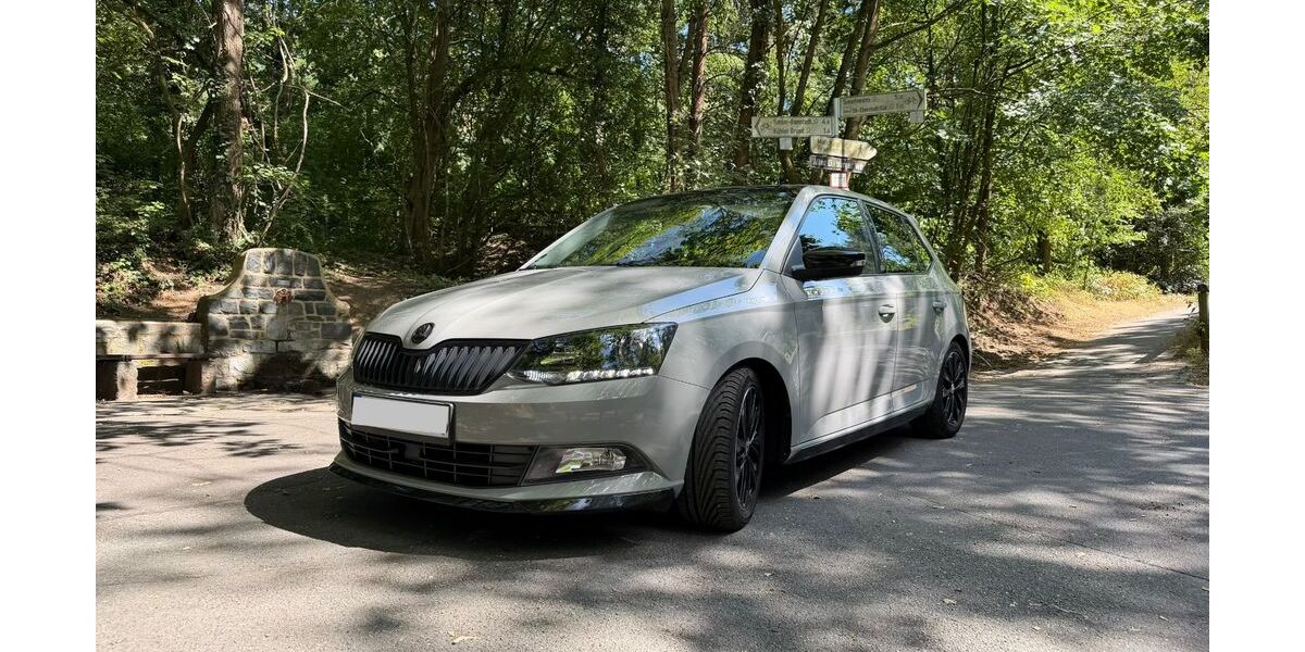Skoda Fabia 79.715 km 9.990 &euro; Darmstadt 64293