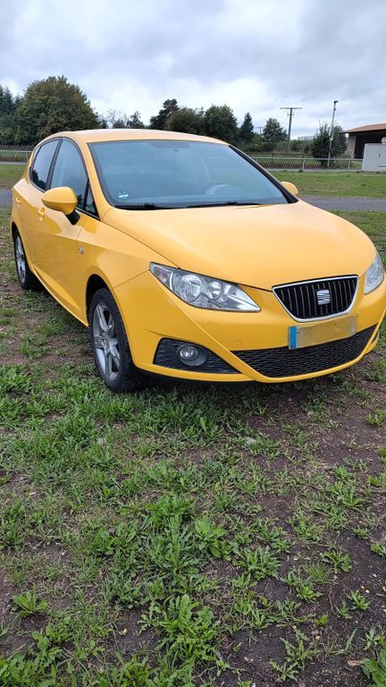 Seat Ibiza 176.000 km 4.000 € Büdingen 63654
