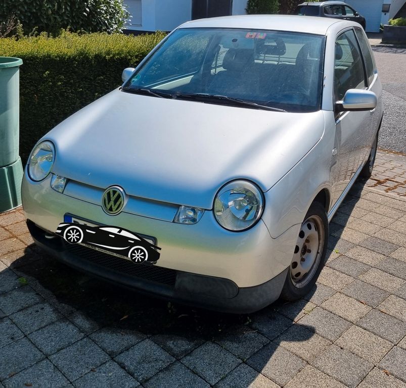 Lupo