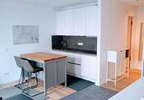 Wohnung zum Mieten in Frankfurt 850 € 30 m²