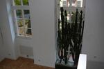 Erdgeschoßwohnung Flörsheim am Main - 4 Zimmer, 170 m&sup2;, 630.000&euro; | Angebot:26704394