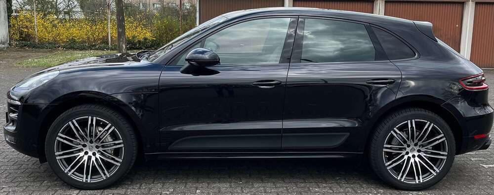 Macan