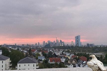 Penthouse mit atemberaubenden Skyline-Blick und Dachterrasse 3 zimmer