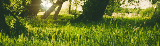 Taunus Natur um Offenbach