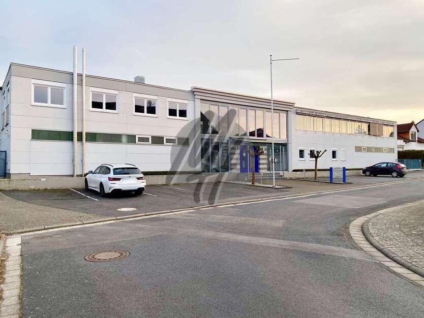 Halle in Hanau 2.700.000 € 4650 m²