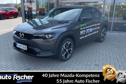 Mazda MX-30 10.063 km 25.990 € Karben 61184