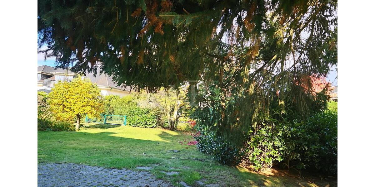 VON POLL - BAD HOMBURG: Charmante Villa mit gepflegtem Garten in ruhiger Lage in Bad Homburg 5 zimmer