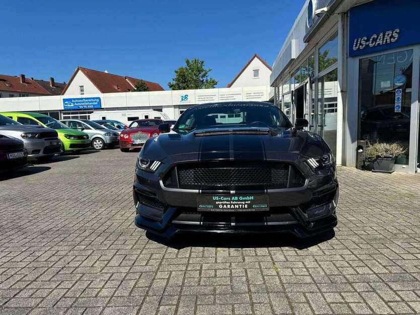 Mustang