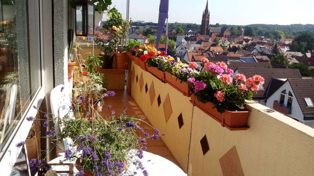 Etagenwohnung Langen - 2 Zimmer, 65 m&sup2;, 175.000&euro; | Angebot:25456627