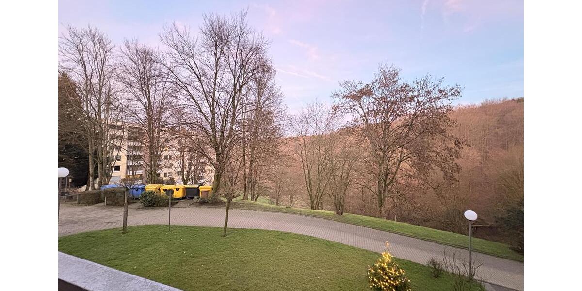 Große und helle 2 Zimmerwohnung mit Balkon und Aussicht auf die Natur 2.5 zimmer