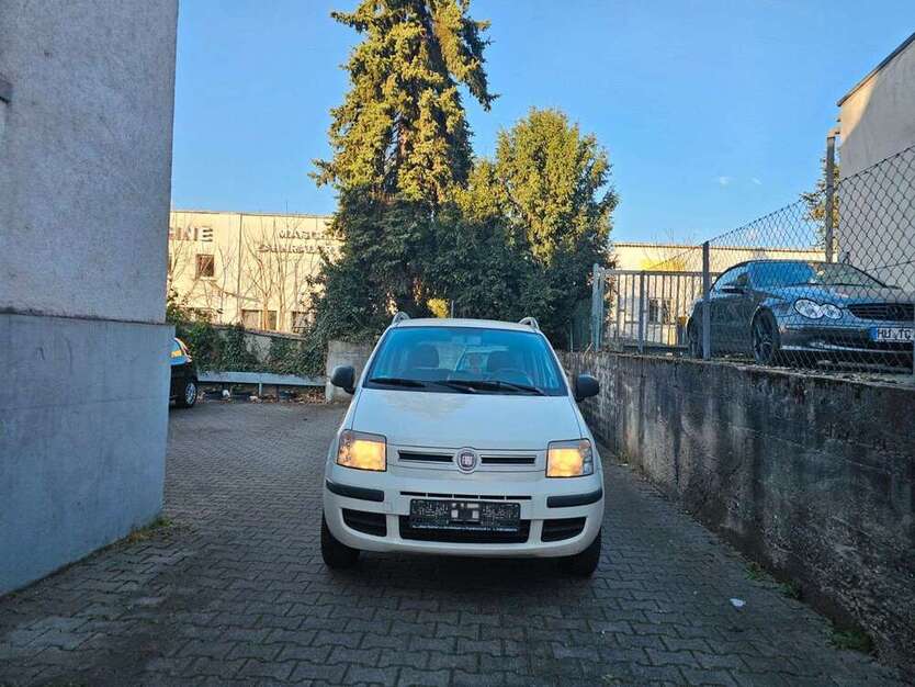 Panda