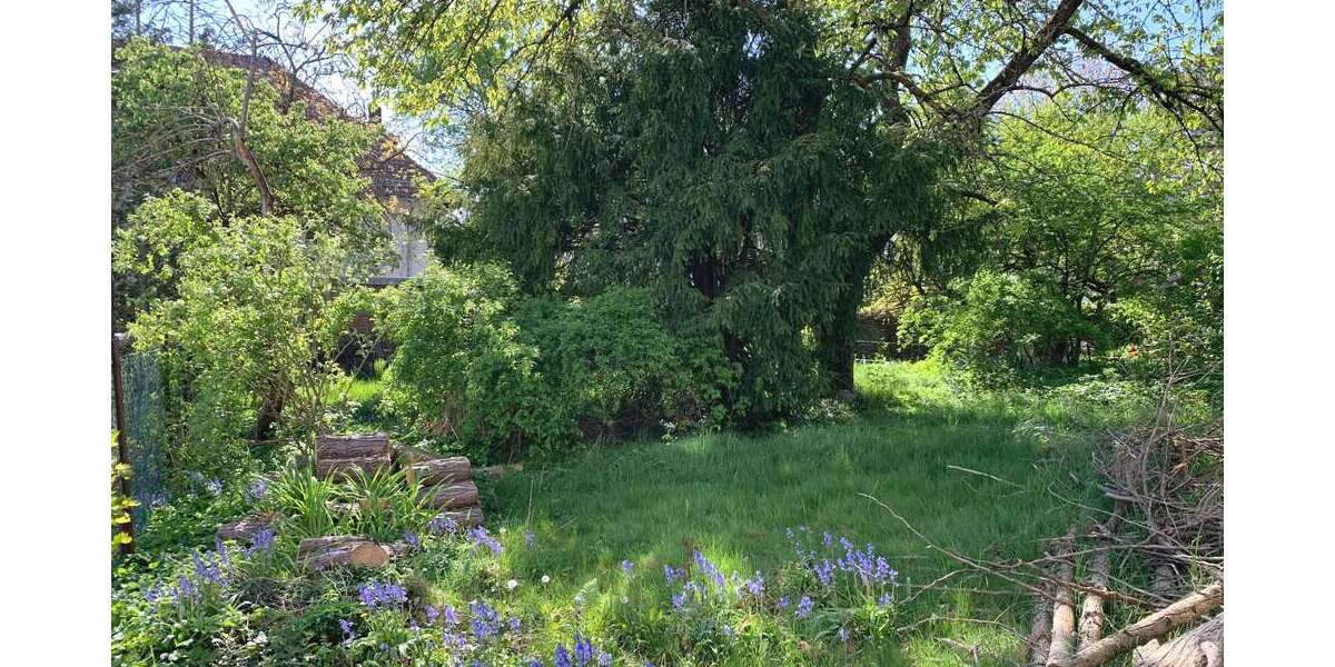 Grundstück Oberursel (Taunus) - 795.000&euro; | Angebot:26825554