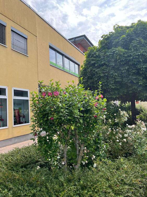 Büro in Bad Homburg 900 € 75.5 m²