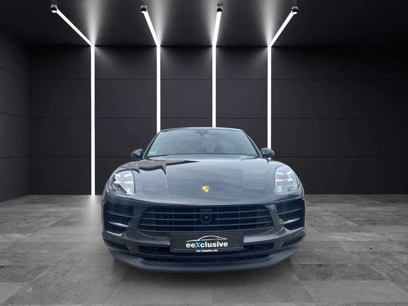 Macan